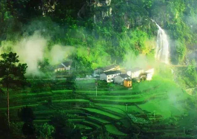 专家：在俄罗斯开设特许经营餐厅时个人开始越来越多地充当投资者
